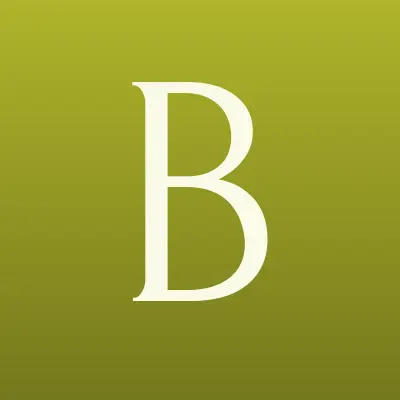 BD PROFI, компания, лого-визитка