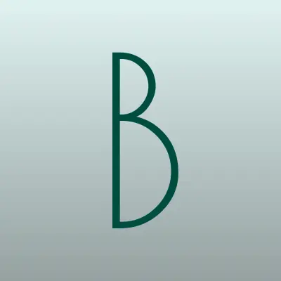BVS, сеть супермаркетов, лого-визитка