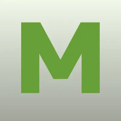 Магазин фейерверков, лого-визитка