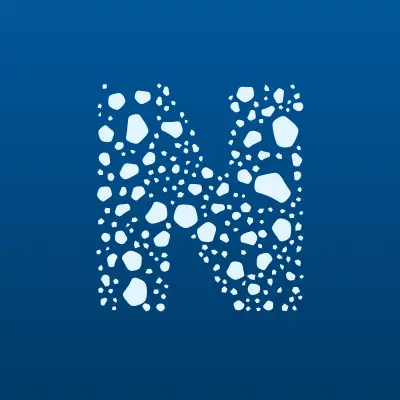 Новые Системы Электроники, компания по производству монтажных блоков и оборудования для спецтехники, лого-визитка