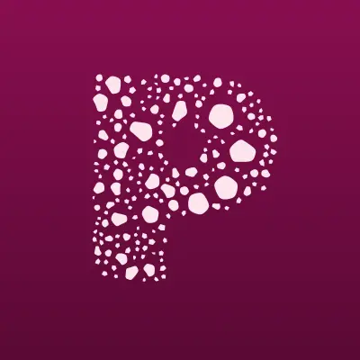 PhoneMaster, сервисный центр, лого-визитка